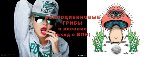 хмурый Алексеевка