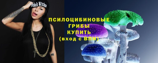 мет Алексин
