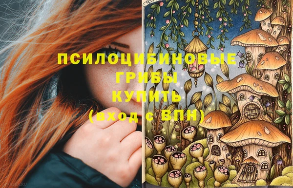 СК Алзамай