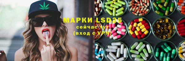 мет Алексин