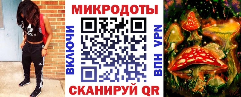 продажа наркотиков  Новошахтинск  Псилоцибиновые грибы Psilocybine cubensis 